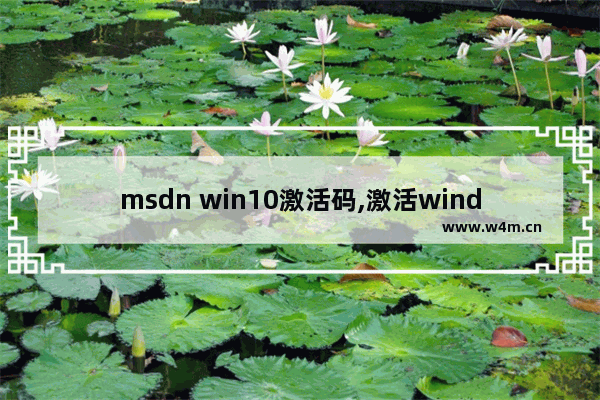 msdn win10激活码,激活windows10专业版激活码