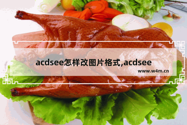 acdsee怎样改图片格式,acdsee5.0怎么批量改图片大小