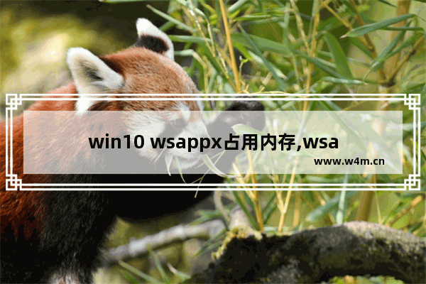 win10 wsappx占用内存,wsappx占用大量cpu