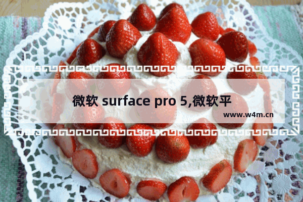 微软 surface pro 5,微软平板电脑surface pro4