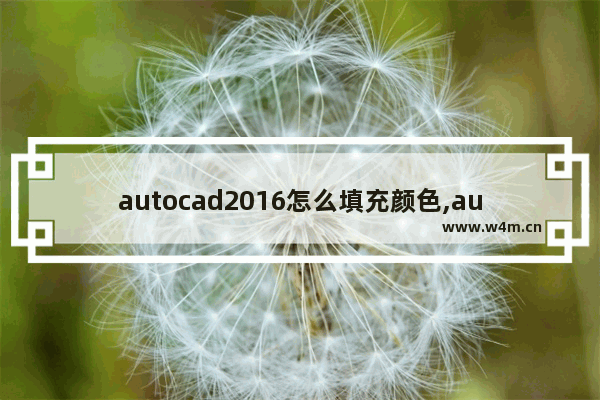 autocad2016怎么填充颜色,autocad图形填充颜色