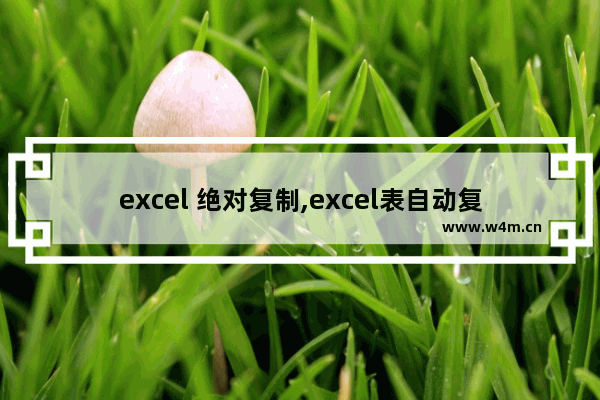 excel 绝对复制,excel表自动复制函数