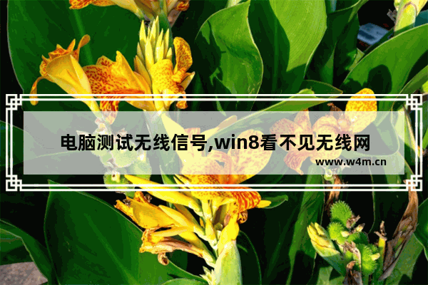 电脑测试无线信号,win8看不见无线网