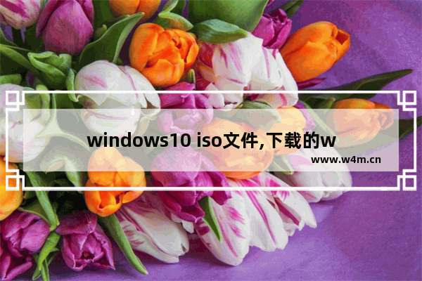 windows10 iso文件,下载的win10系统iso文件怎么安装