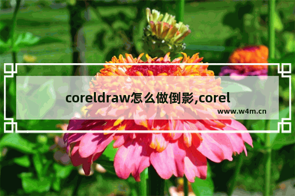 coreldraw怎么做倒影,coreldraw x4怎么画图