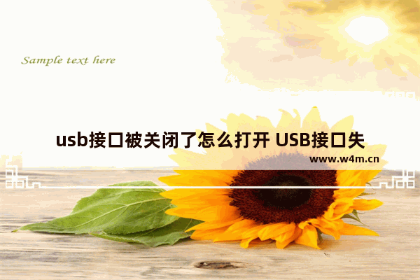 usb接口被关闭了怎么打开 USB接口失灵怎么办？