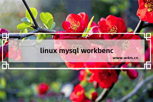 linux mysql workbench,mysql workbench下载安装教程