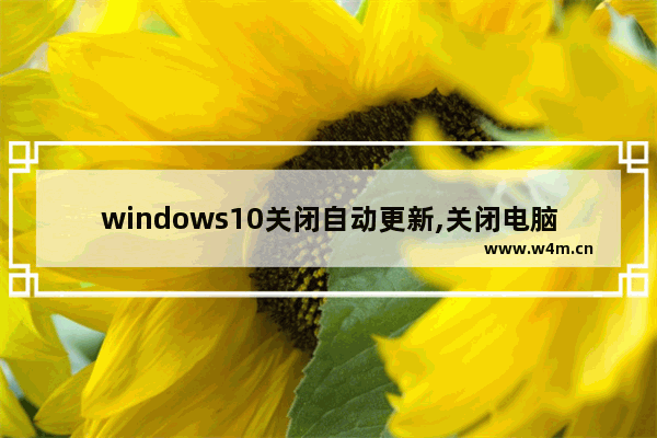 windows10关闭自动更新,关闭电脑windows10自动更新