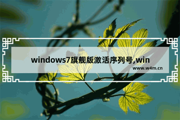 windows7旗舰版激活序列号,win7序列号(可激活所有版本)