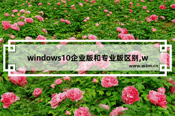 windows10企业版和专业版区别,win10专业版和企业版有什么区别-