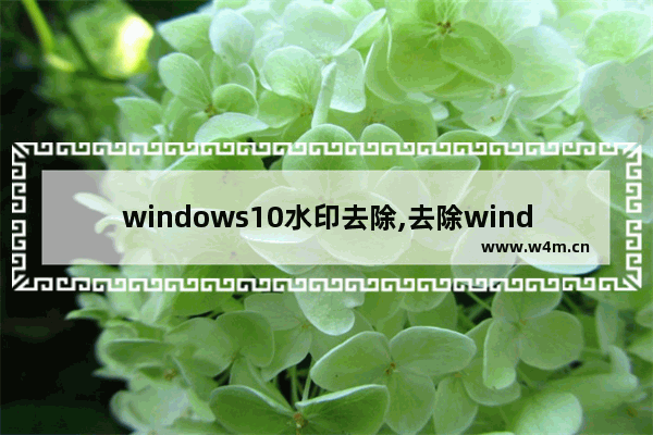 windows10水印去除,去除windows11水印