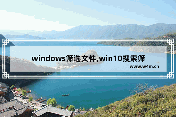 windows筛选文件,win10搜索筛选器