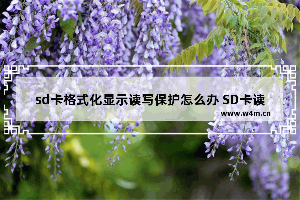 sd卡格式化显示读写保护怎么办 SD卡读写保护问题解决方法