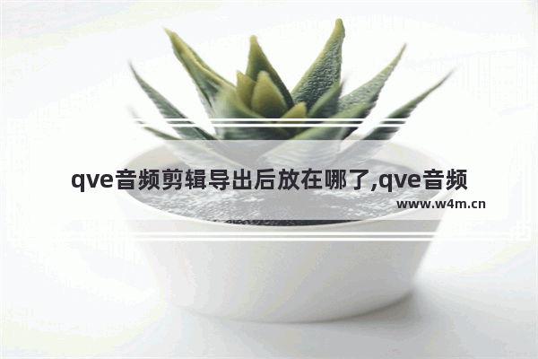 qve音频剪辑导出后放在哪了,qve音频剪辑怎么转换格式