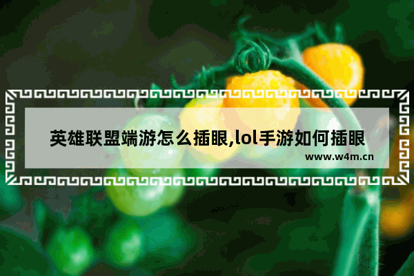 英雄联盟端游怎么插眼,lol手游如何插眼