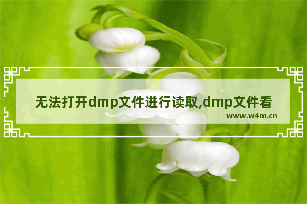 无法打开dmp文件进行读取,dmp文件看不懂