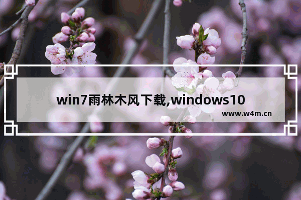 win7雨林木风下载,windows10雨林木风