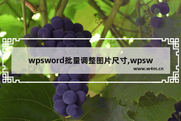 wpsword批量调整图片尺寸,wpsword图片统一修改尺寸