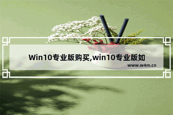 Win10专业版购买,win10专业版如何购买