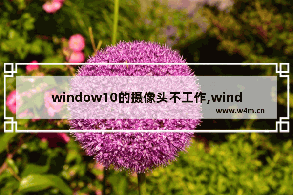 window10的摄像头不工作,windows10有摄像头吗