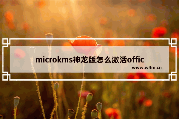 microkms神龙版怎么激活office2019,microkms神龙版激活office 2016