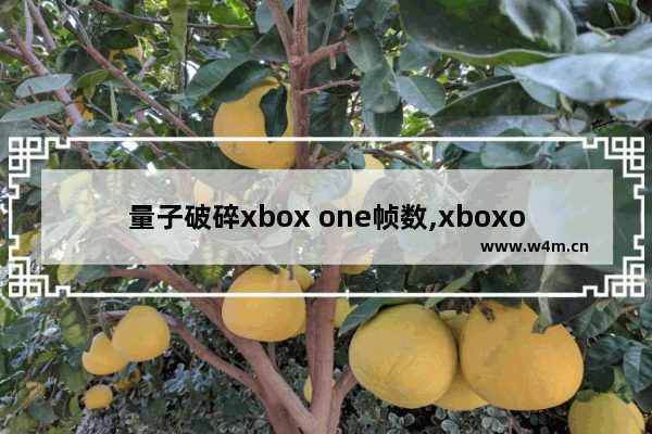 量子破碎xbox one帧数,xboxonex量子破碎