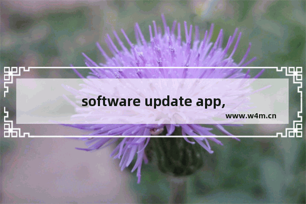 software update app,software center更新软件