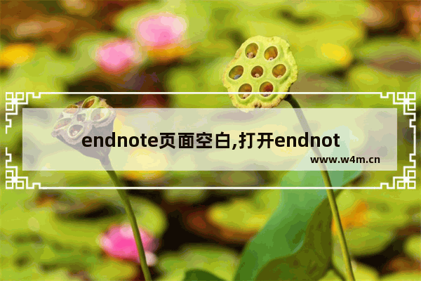 endnote页面空白,打开endnote什么都没有