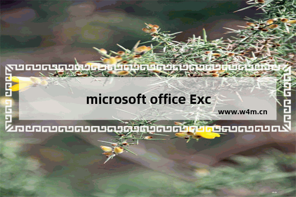 microsoft office Excel2007,Microsoft Excel2016