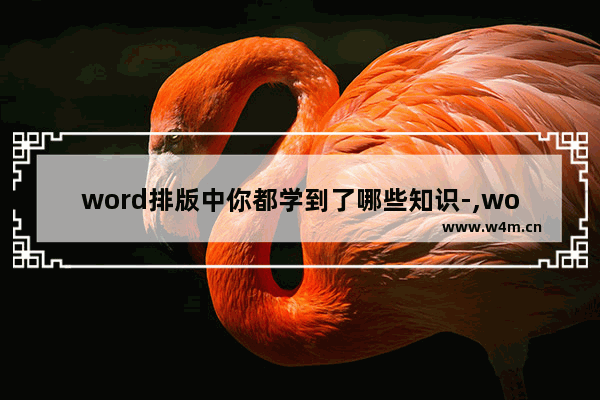 word排版中你都学到了哪些知识-,word中系统实现自动排版的范本是什么和什么