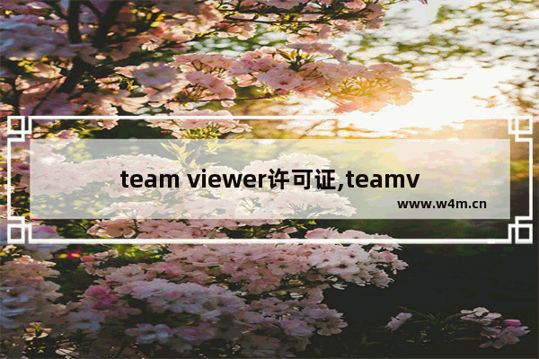 team viewer许可证,teamviewer许可证时间有所限制