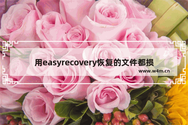 用easyrecovery恢复的文件都损坏了,用easyrecovery恢复删除文件过程