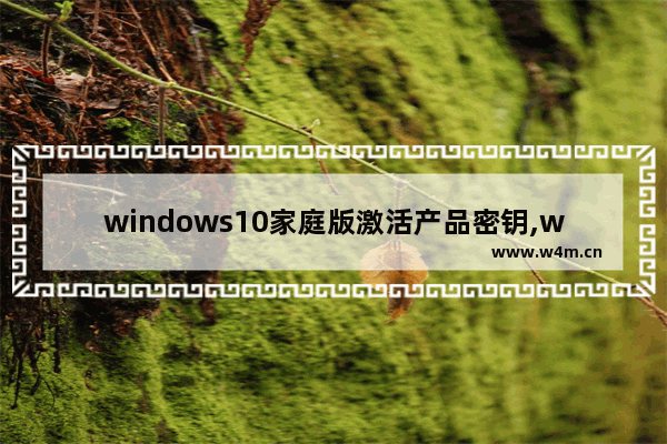 windows10家庭版激活产品密钥,windows10家庭版激活密钥