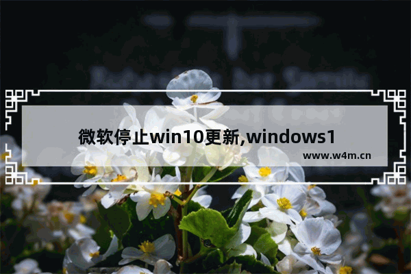 微软停止win10更新,windows10更新很久