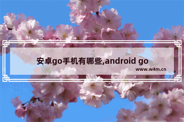 安卓go手机有哪些,android go语言