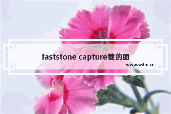 faststone capture截的图到哪去了,faststone capture教程