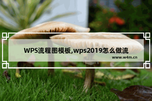 WPS流程图模板,wps2019怎么做流程图