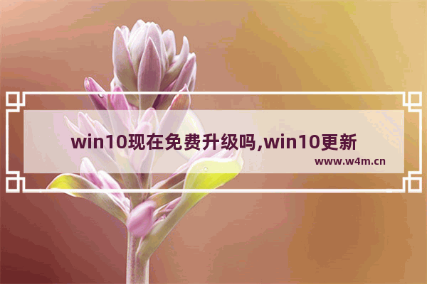 win10现在免费升级吗,win10更新免费吗