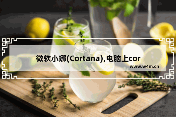 微软小娜(Cortana),电脑上cortana小娜有用吗