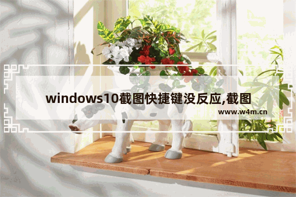 windows10截图快捷键没反应,截图键没反应 win10