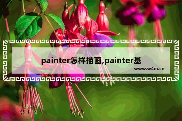 painter怎样描画,painter基本教程