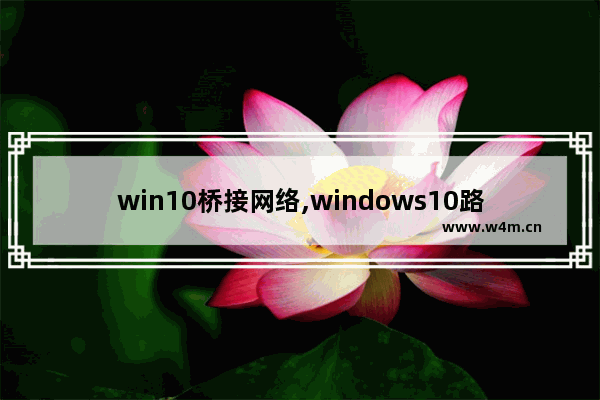 win10桥接网络,windows10路由器设置无线网络