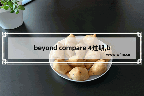 beyond compare 4过期,beyond compare试用期结束