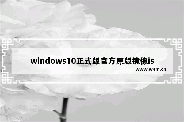 windows10正式版官方原版镜像iso下载地址,windows10 iso镜像下载