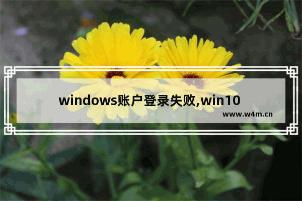 windows账户登录失败,win10 更换登录用户 死机