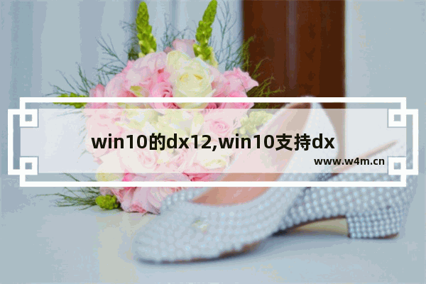 win10的dx12,win10支持dx11吗