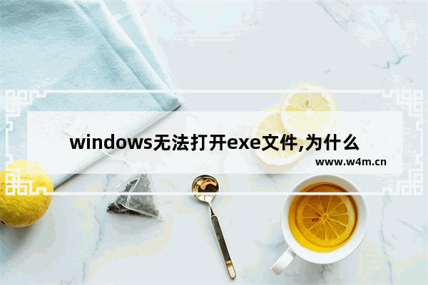 windows无法打开exe文件,为什么电脑不支持打开exe文件