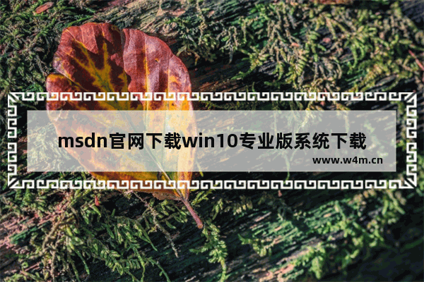 msdn官网下载win10专业版系统下载,msdnwin10下载哪个版本