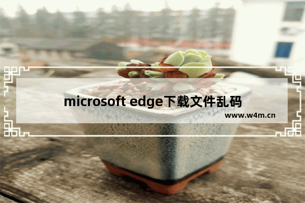 microsoft edge下载文件乱码,microsoft edge下载文件名乱码