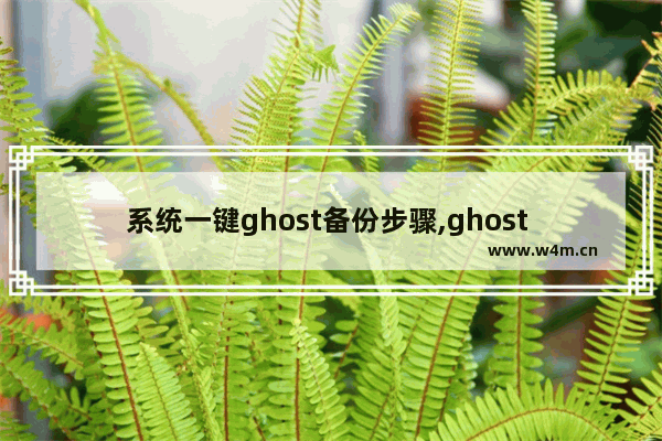 系统一键ghost备份步骤,ghost win10系统备份